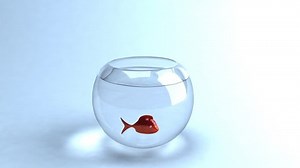 Fish Jumping Out Water Looping Animation Stock Footage Video (100% Royalty-free) 30284 | Shutterstock