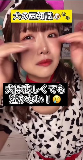 【犬の豆知識🐶🐾】犬は悲しくても涙を流さない！！#犬の豆知識#豆知識#dog#犬#わんわんアイドル