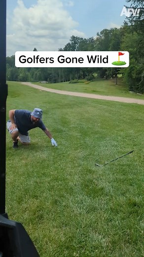 165K views · 659 reactions | Swing and a fail! ⛳ | America's Funniest Home Videos | Facebook