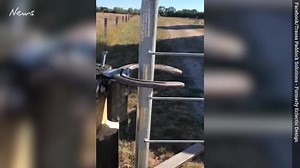 The viral gate latch you have to see