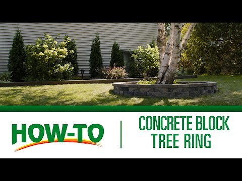 How to build a tree ring with MM Concrete