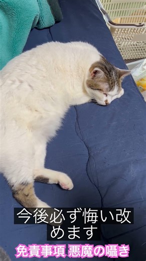 私は自分の欲望を優先させる堕落した女です