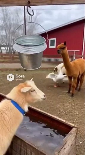 Animals Totally Freak Out! 😱🐶🐱🐰