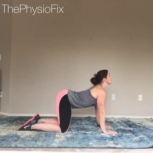 Spinal mobility: cat/camel