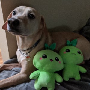 420Complexity - Twitch