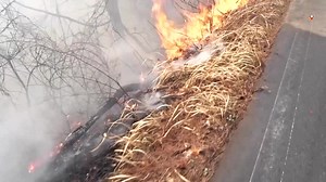 260K views · 3.8K reactions | Several people have died in a series of wildfires in South Korea, as firefighters rushed to put out the blazes amid dry and windy weather, according to the Korea Forest Service. | Reuters | Facebook