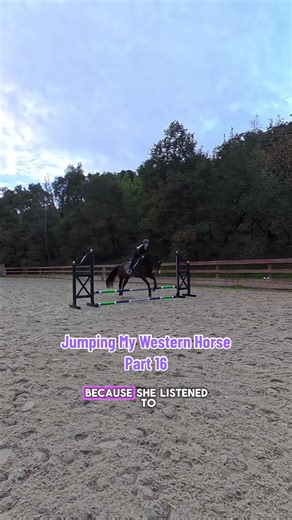Teaching My Western Horse to Jump: Part 16
