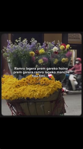 Bujheu: A Heartfelt Expression of Love