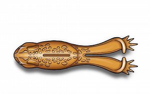 12K views · 425 reactions | In Parts 1 and 2 of this series, we...