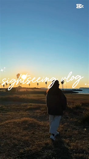 Trip vlog 🤎🎍 I had a wonderful time~⭐︎最後まで観てね！#tripvlog #shorts #旅行 #絶景 #癒し