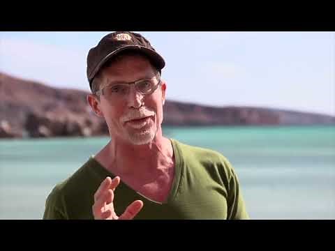 Episode 803: Cooking on the Sea of Cortez, Rick Bayless "Mexico: One Plate a Time"