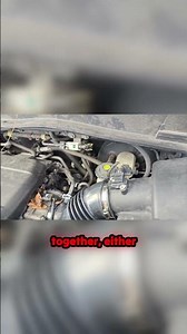 A FLY shut down this Honda Pilot? The most ridiculous Check Engine Light fix we've ever seen! 😱