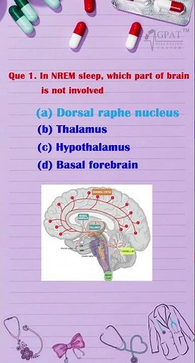 NREM Sleep Explained in 1 Minute | Important MCQ #NREMSleep