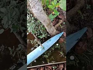 fun rush tech is live