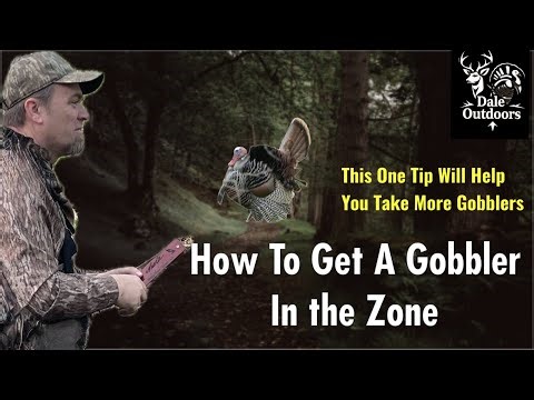 How to Get GOBBLERS in the ZONE!
