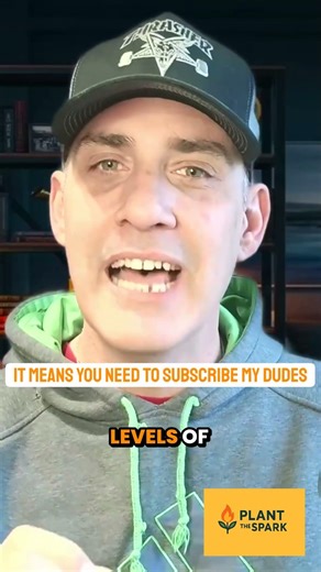 Mature Male Brain Upgrade