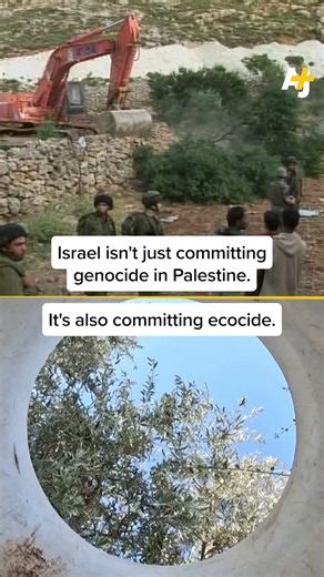 Israel presents itself as an ecologically conscious country, but environmental advocates accuse it of ecocide. AJ spoke with a Palestinian environmentalist on how Israel’s attempts to control the land are actually destroying the environment. | AJ