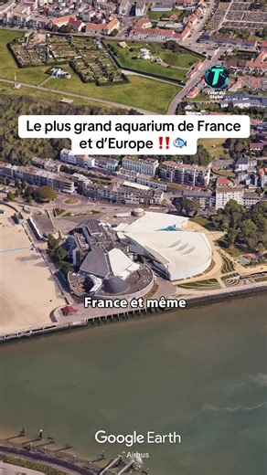 Le plus grand aquarium de France ! 🐟 #aquarium #nausicaa #poissons #requins #zoo