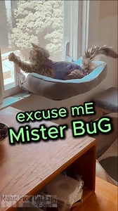 75K views · 4.1K reactions | Hello my familovelies! I present: Midna...