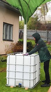 Save Money and Resources with Practical Rainwater Collection | Baby Panda