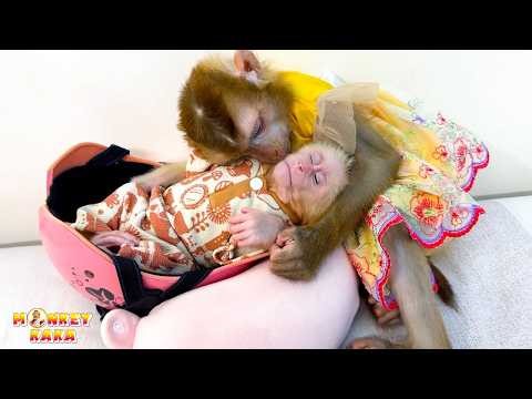 Monkey Kaka is hugging Monkey Mit while they sleep, they're both so cute!