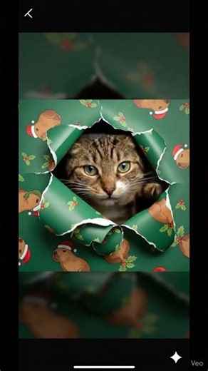 AI Cat Merges out of a Gift