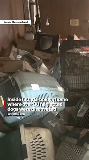 More than 80 neglected dogs were discovered in a filthy Brooklyn home after their elderly owner died, according to officials — who arrived as one of the animals was in the middle of giving birth. https://trib.al/FUACtNR | New York Post