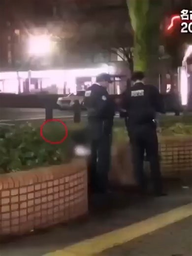 激録・警察密着24時｜逮捕の瞬間 日本警察の犯罪追跡 Part 262