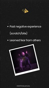 Ailurophobia 😨 Fear of Cats 🐱 | Exam Ready GK | Important Phobias for Exams 🎯 (Part 7)