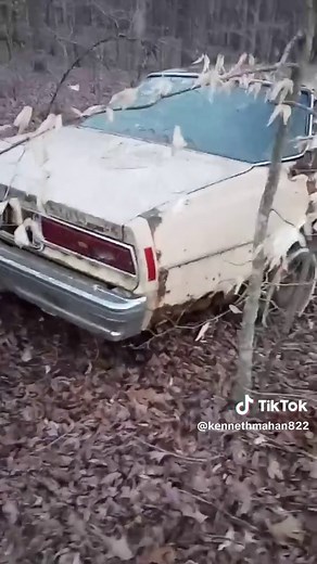 Discovering a 1970s Chevrolet Impala in the Junkyard