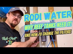 RODI Water: How I Change Those Filters, And Why Your Reef Tank Needs It!