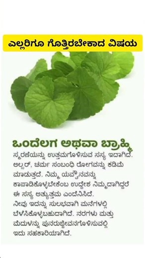 Motivation Quotes Inspiration Quotes Kannada Famous Quotes#shorts#short#shortvideo#shortsvideo#tips