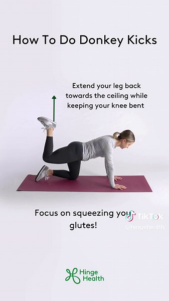 Donkey kicks target the glutes and the hamstrings! You can do them anywhere, no equipment required. Incorporate them into a variety of workouts, such as lower-body training, glute-focused routines, or full-body workouts. #Exercise #Movement #HealthandWellness #PhysicalTherapy #PainManagement #NoEquipmentExercise #DonkeyKicks #Tutorial #Fitness #FitnessMotivation #LowerBody #Training #SelfCare The information contained in this video is intended to be used for educational purposes only and does no