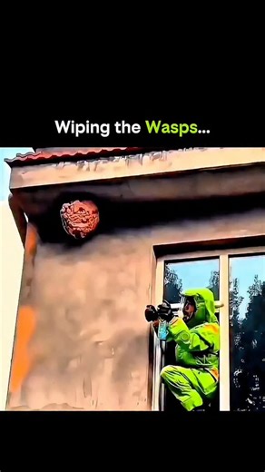 SCIENCE | FACTS | BEYOND | HISTORY | on Instagram: "Wasps react aggressively to sudden movement, vibrations, and threat signals. Professionals use calm, controlled actions, protective gear, and the right techniques to remove them safely without triggering mass attacks. This is a perfect example of how knowledge beats force every time. When humans respect biology and behavior, even the most dangerous tasks become controlled and predictable. Nature doesn’t forgive mistakes — but it does reward int
