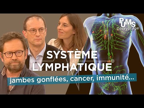 Bien COMPRENDRE votre système lymphatique : ce que vous devriez SAVOIR pour une bonne santé