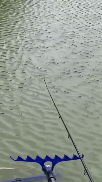 UNMISSABLE! 😍 The Embed Feeder is an incredible weapon for converting more pick ups into proper bites just like this one! With guaranteed presentation and a shortened hook length thanks to the line grip built into the feeder, make sure your rod is safely secured on the rest! If you haven't tried them yet, check them out... 🎣 #TeamMAP #MAPFishing #fishing | MAP Fishing