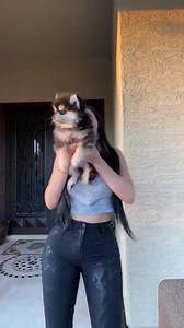 1.4M views · 294 reactions | ¡Diviérte todo el día con Kwai! Es una aplicación increíble para ver todo tipo de videos interesantes ¡Conviértete en un popular creador de videos y compártelos con tus amigos! ¡ Ahora es gratis! | Kwai Philippines | Facebook