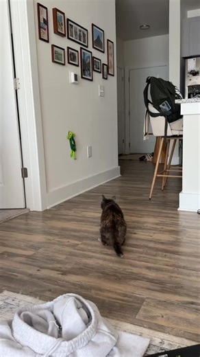 Say hello to the RC Robo Lizard — the toy that turns any room into a wild mini-jungle! 🌿⚡ At Little Learners, we’re all about creating toys that make kids jump up, laugh, and start moving — and this speedy little reptile does exactly that. Kids can: ✨ Chase it around the house 🎮 Control every twist, turn & tail-flick 😱 Surprise friends with its lifelike moves 🌈 Build imagination through pretend play No screens, no boredom — just pure, active FUN. Ready to unleash the coolest creature in the 