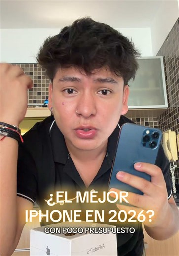 iPhone 12 Pro Max 256GB a buen precio