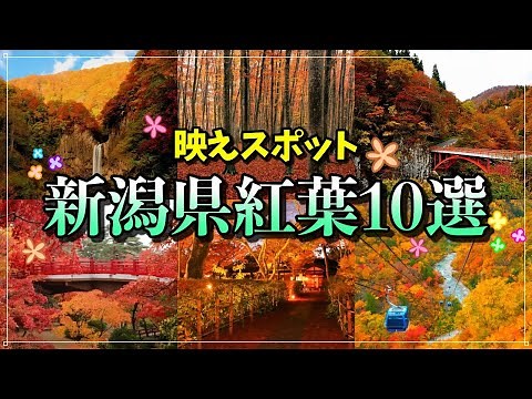 新潟県の紅葉観光名所10選