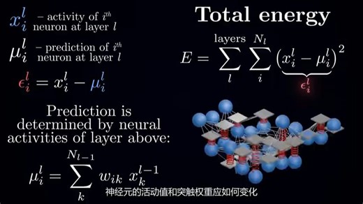 更符合大脑生物特性的算法，预测编码介绍