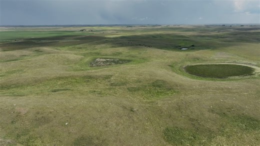 49 reactions · 3 comments | Take a look at this unique opportunity...