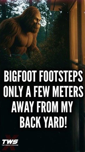 MYSTERIOUS FOOTSTEPS IN MY BACK YARD! #paranormalpodcast #podcast THE WEEKLY STRANGE