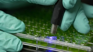 641 reactions · 156 shares | Synthetic Genomics and ExxonMobil scientists may have unlocked the secret to a potentially energy-rich strain of algae. | ExxonMobil | Facebook