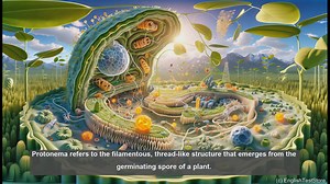 Protonema in biology