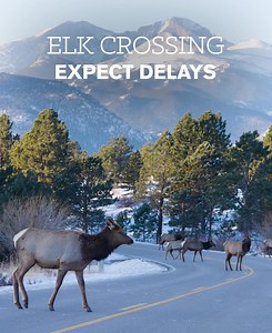 1K reactions · 116 shares | When nature leads, adventure follows. Estes Park is calling—are you coming? | Visit Estes Park | Facebook