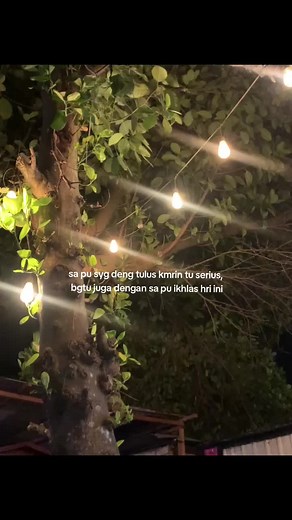 Enchanting Nighttime Tree Decor with String Lights