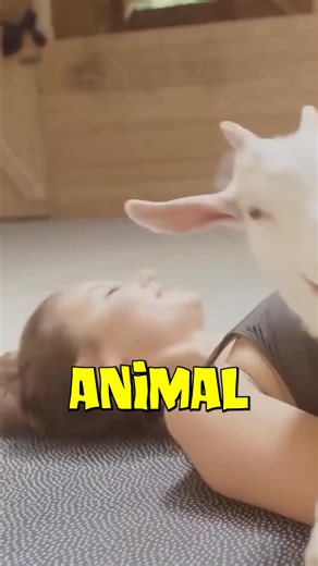 The Internet's Strangest Workout Fads #StrangeWorkouts #MeatCanyonMagic #FunnyAnimations #WorkoutFads #InternetTrends #CreativeStorytelling #ViralHumor #AnimationArt #FitnessFun #QuirkyFitness | Meatcanyon