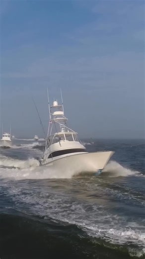 That time the GOAT 🏀 came to the Scales…who is ready to see what 2026 “catches”? | White Marlin Open