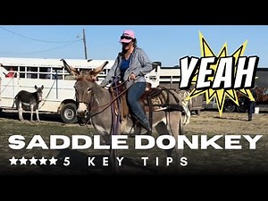 Donkey Training: From Stubborn to a Happy Riding Companion